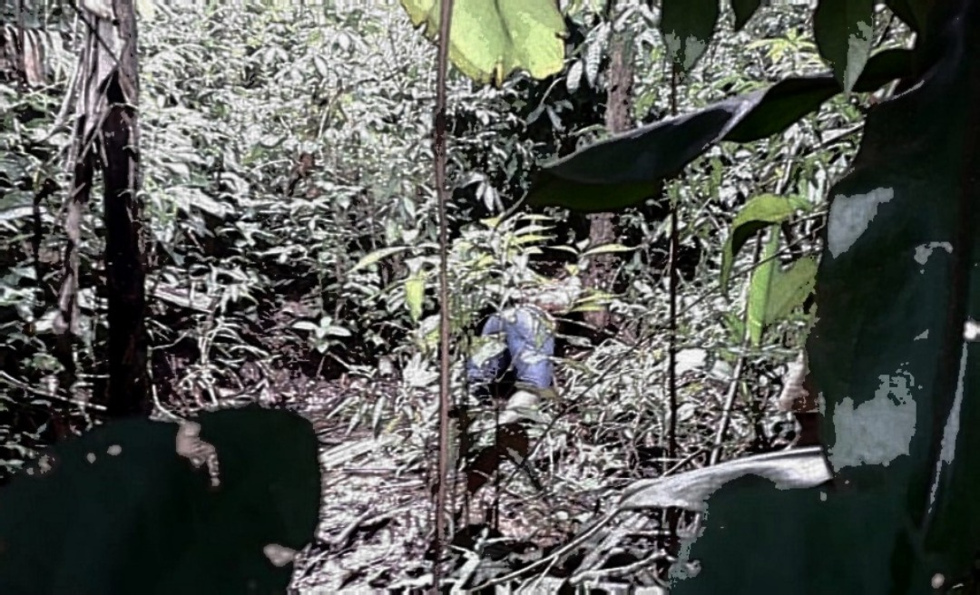 Polícia Civil elucida dois homicídios em Rio Branco